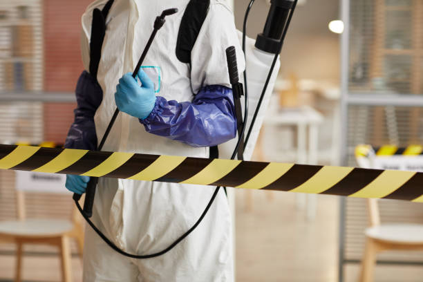 Professional Hoarding Cleanup technician working in Henderson, IA